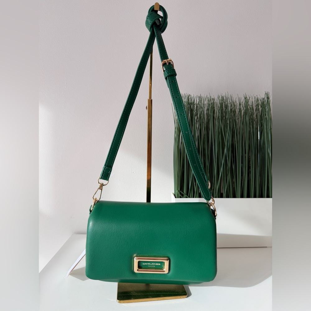 David Jones Green Leather Crossbody Bag Gold Hardware Adjustable Strap NEW - Picture 3 of 11